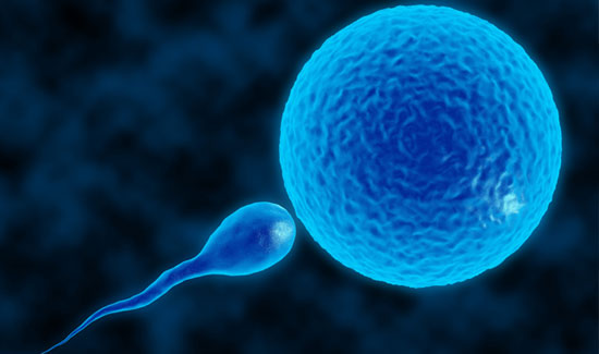 Expert Andrology Services for Male Fertility in Bangalore at Miracle Ivf Hospital 