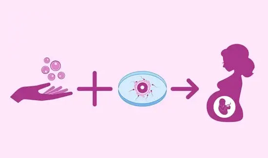 Egg Donation Program in Bangalore at Miracle Ivf Hospital 