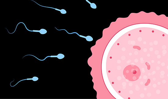 ivf hospital in bangalore