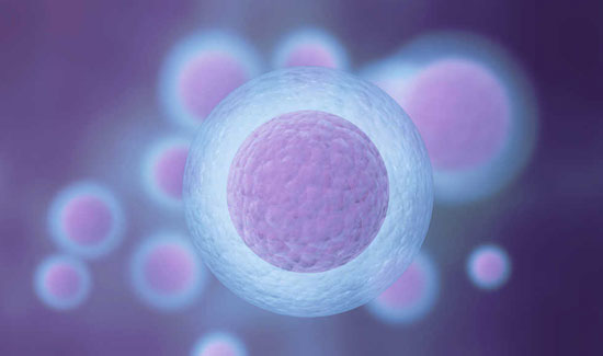 Ovarian Stimulation Process in Bangalore at Miracle Ivf Hospital 