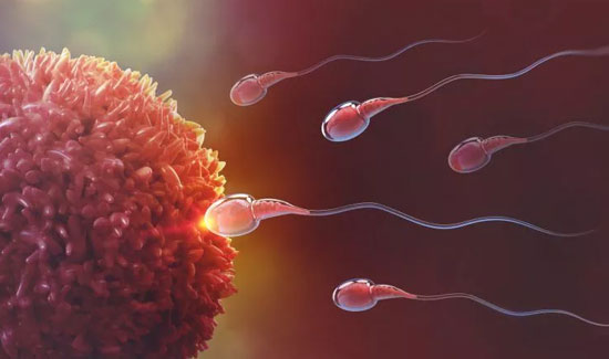  Reproductive Hormone Profile Testing In Bangalore at Miracle Ivf Hospital 