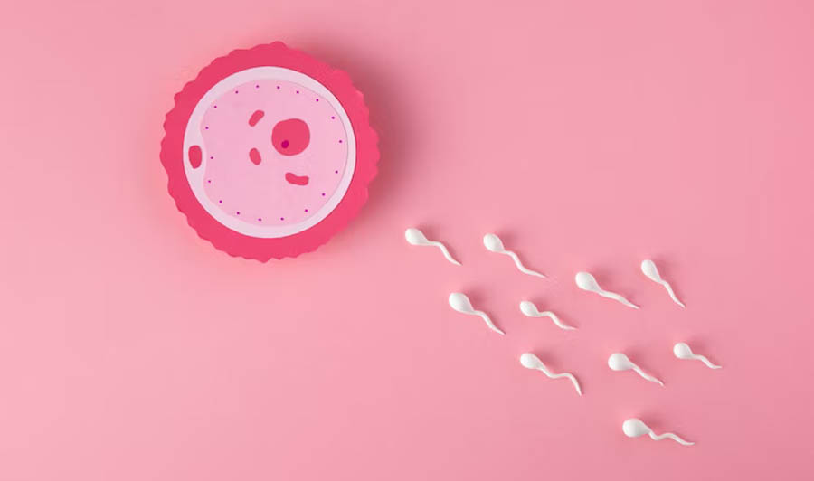 Before Opting for IVF - Important Things to Know at Miracle ICF Hospital, Bangalore.